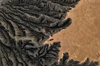 img of الجيولوجيا الجليدية في ديسكفري بارك، سياتل