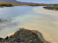 img of أنهار ألاسكا تتحول إلى اللون البرتقالي وتصبح أكثر حمضية من الجريدة الرسمية
